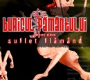 Suflet flamand Afis